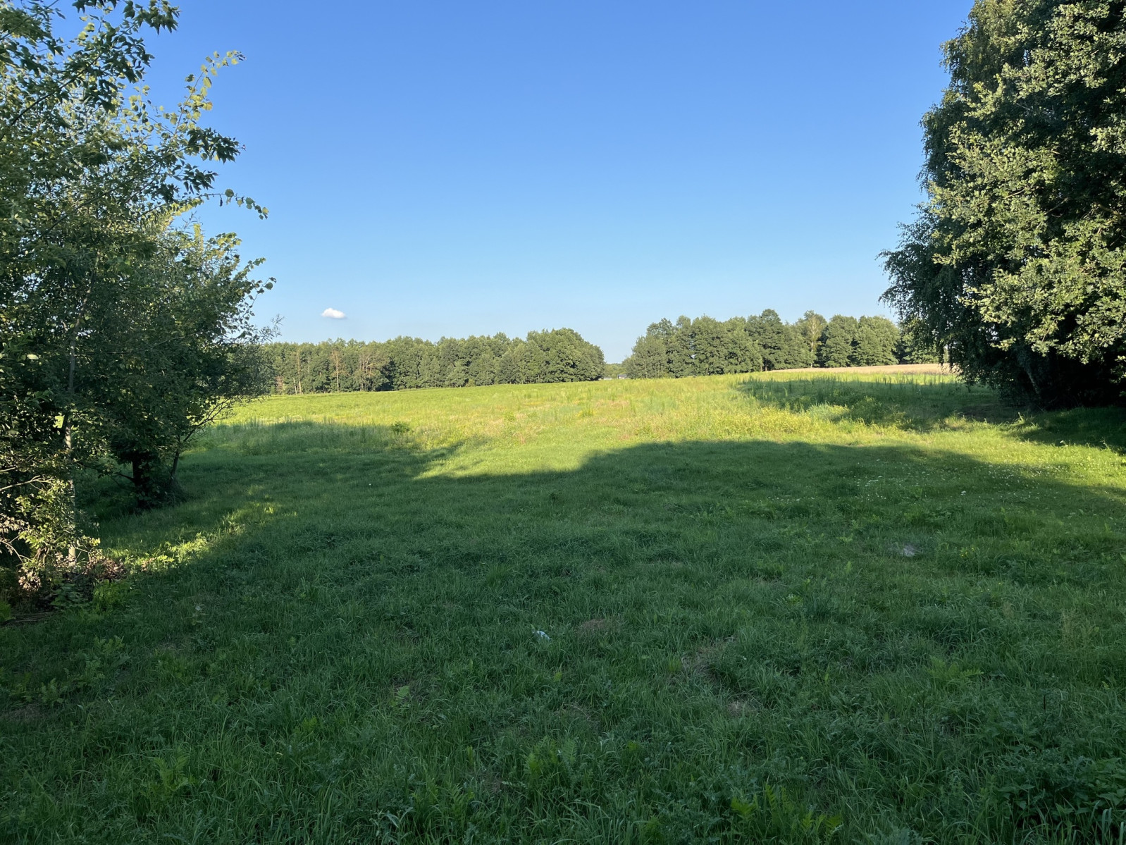 Działka Sprzedaż Jabłonów 7