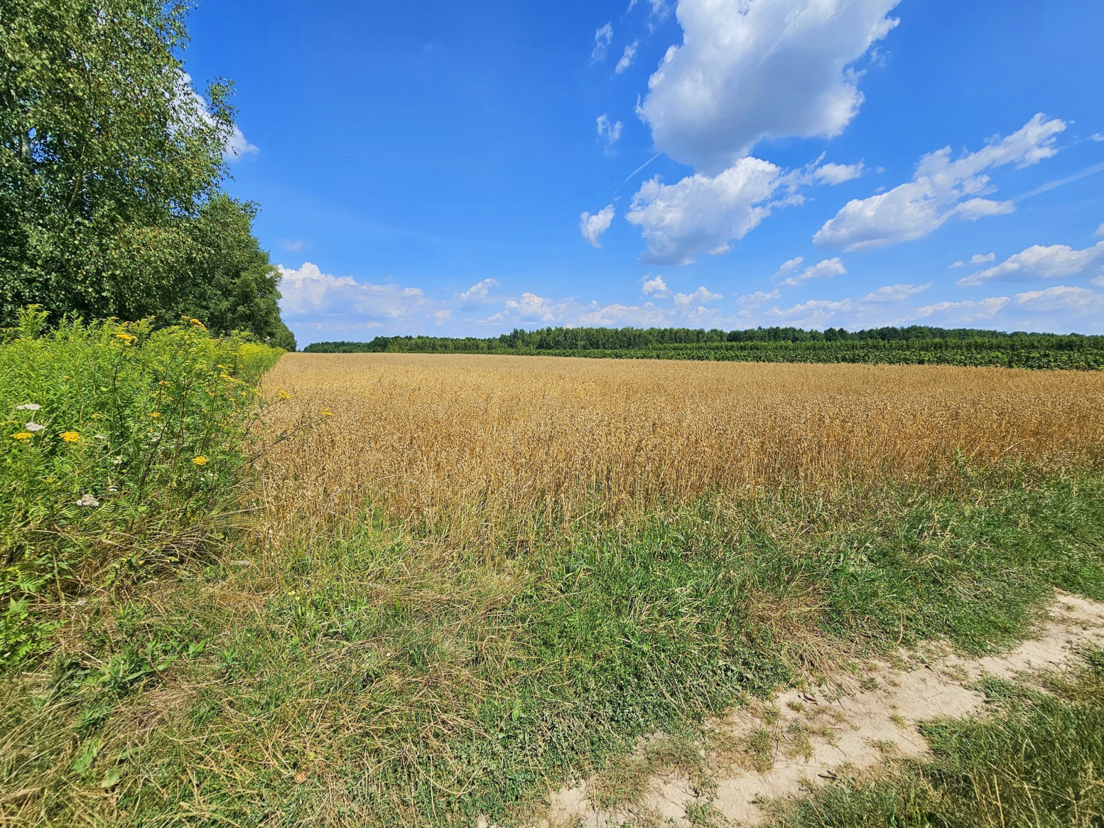 Działka Sprzedaż Karczmiska Drugie 6