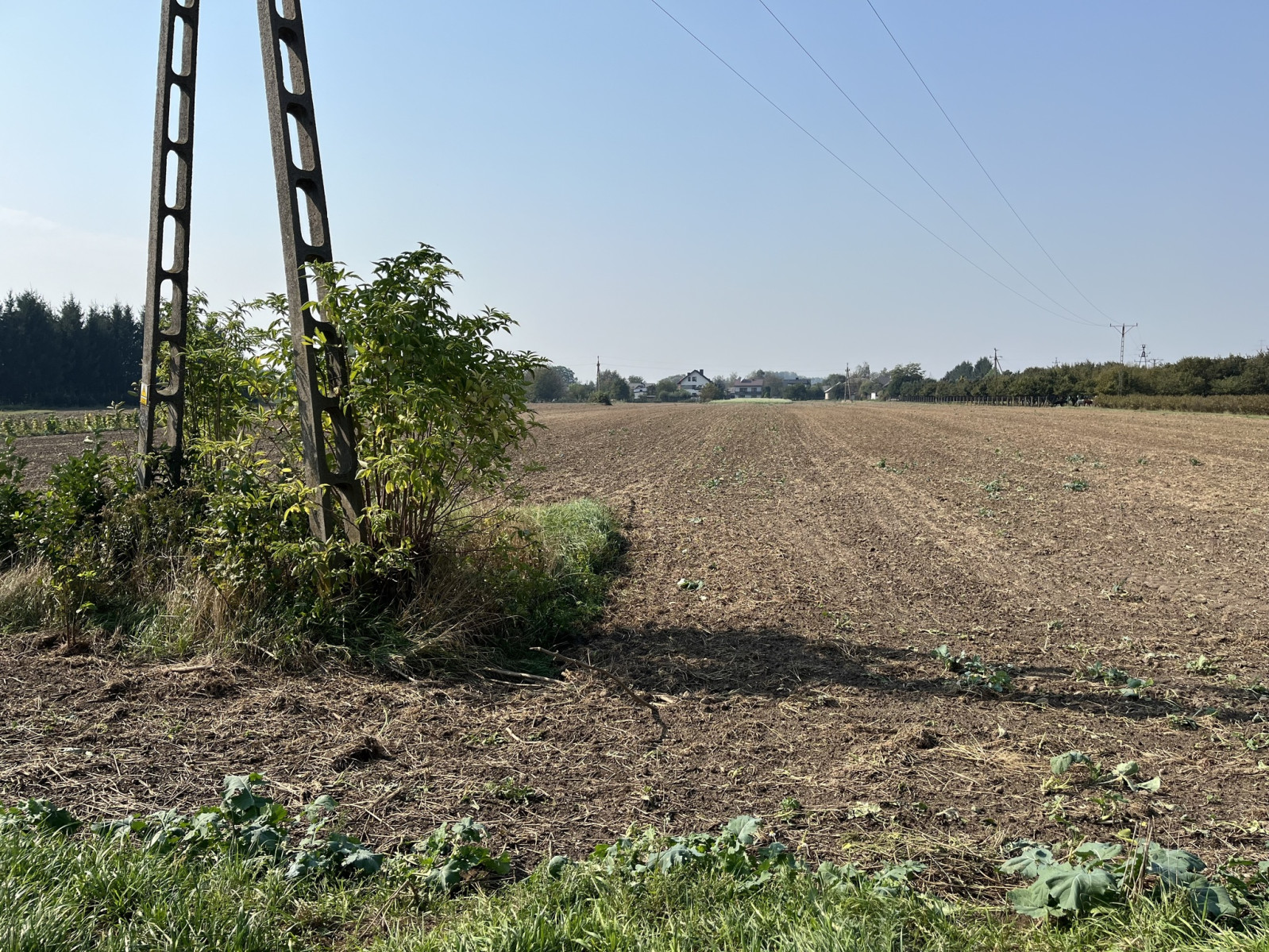 Działka Sprzedaż Gołąb Lotnisko 7
