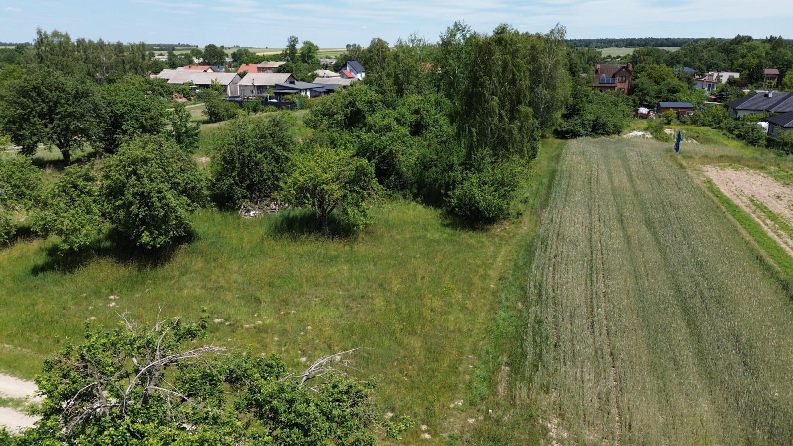 Działka Sprzedaż Głuszczyzna