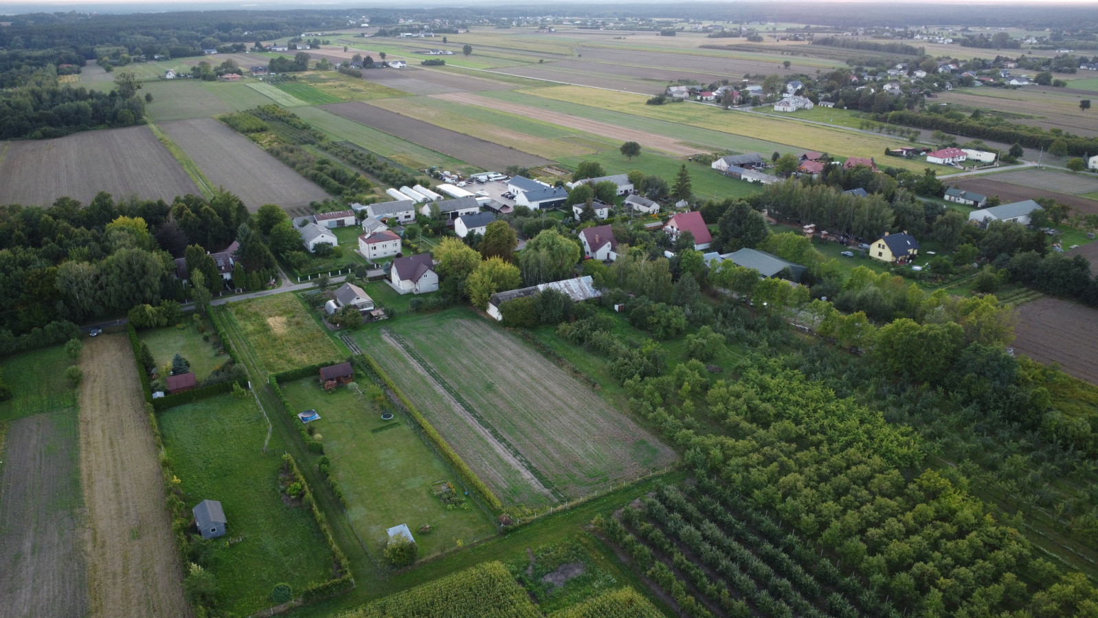 Działka Sprzedaż Wojszyn