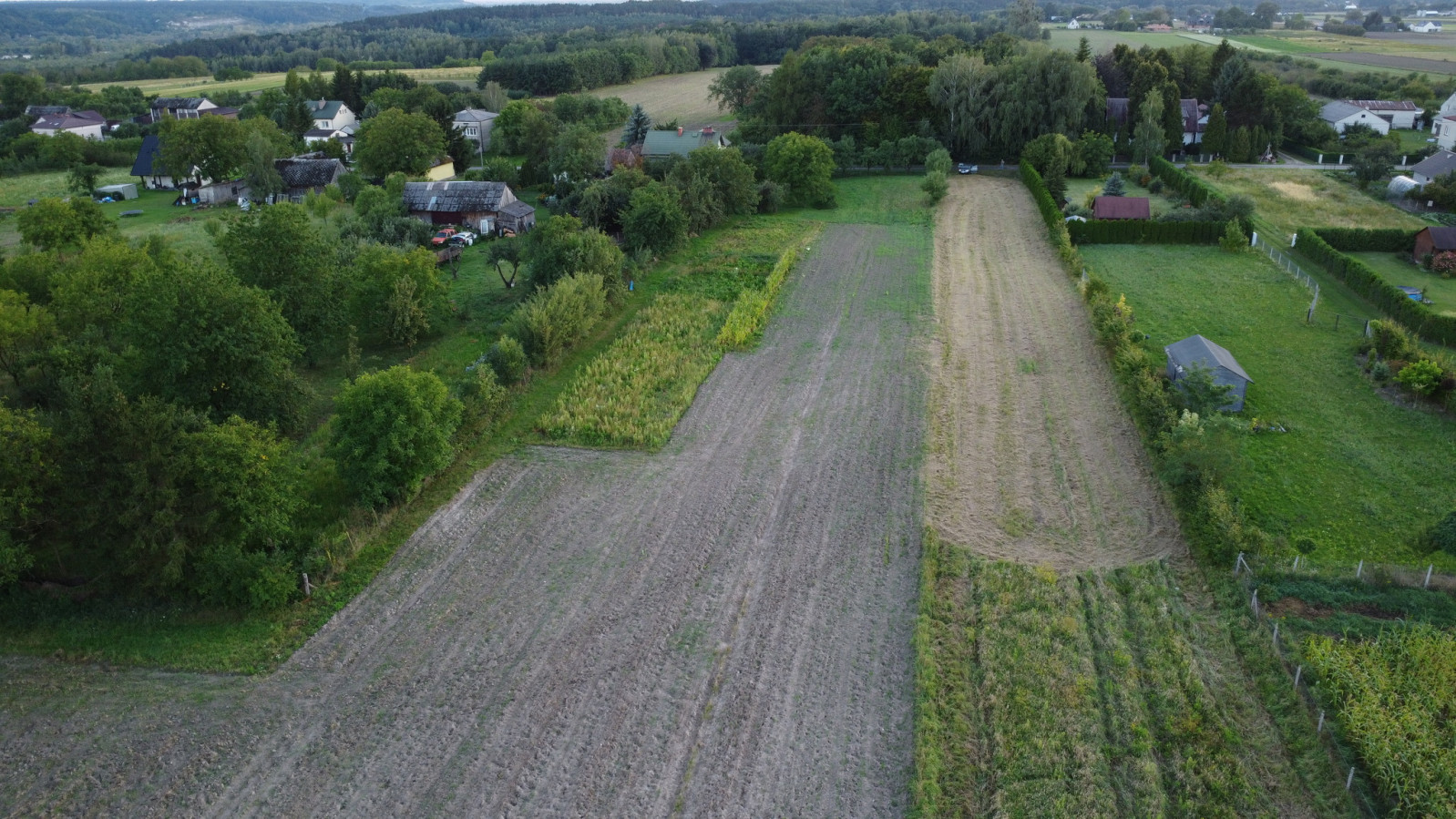 Działka Sprzedaż Wojszyn