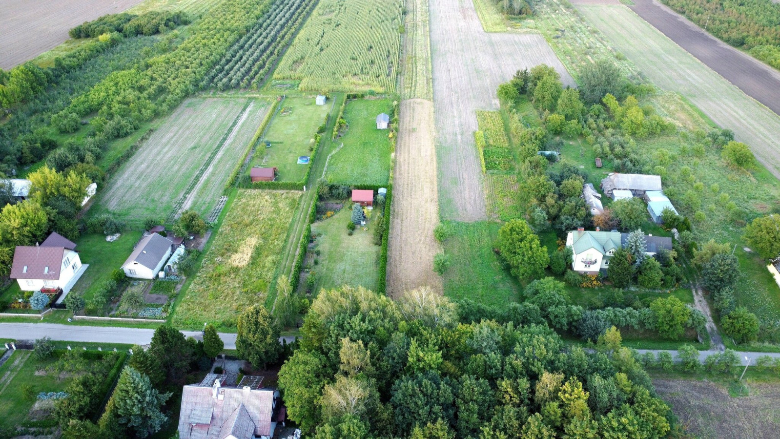 Działka Sprzedaż Wojszyn