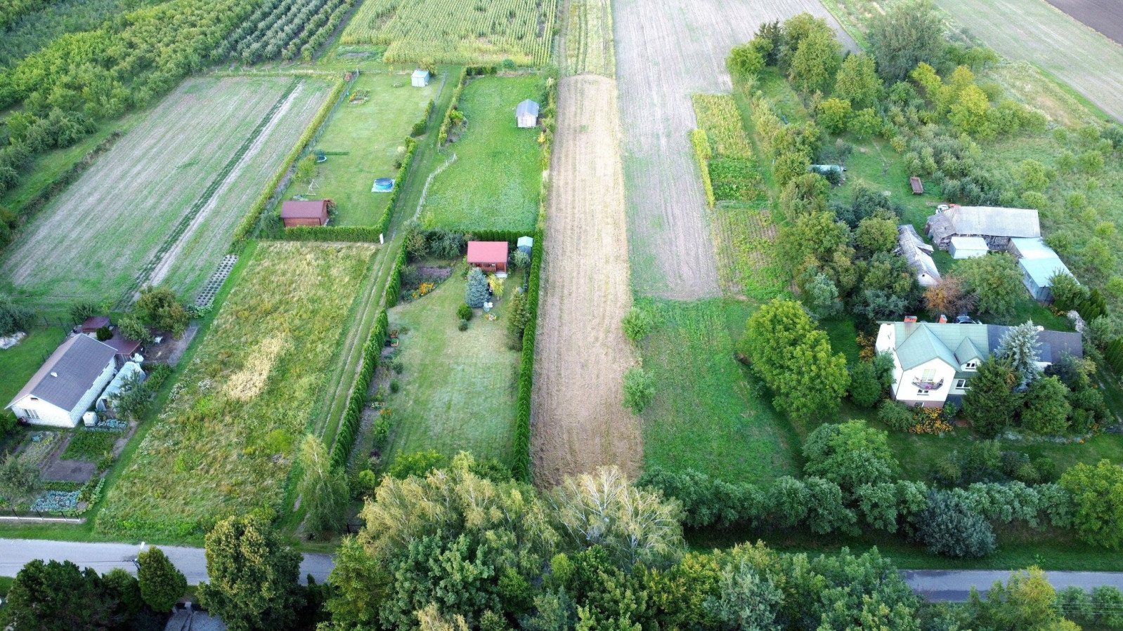 Działka Sprzedaż Wojszyn
