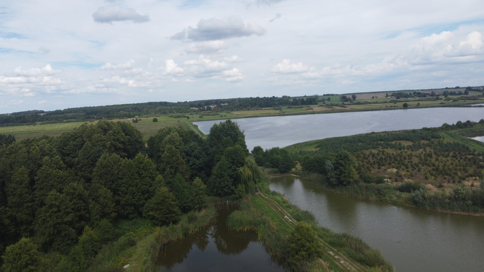 Działka Sprzedaż Żminne 4