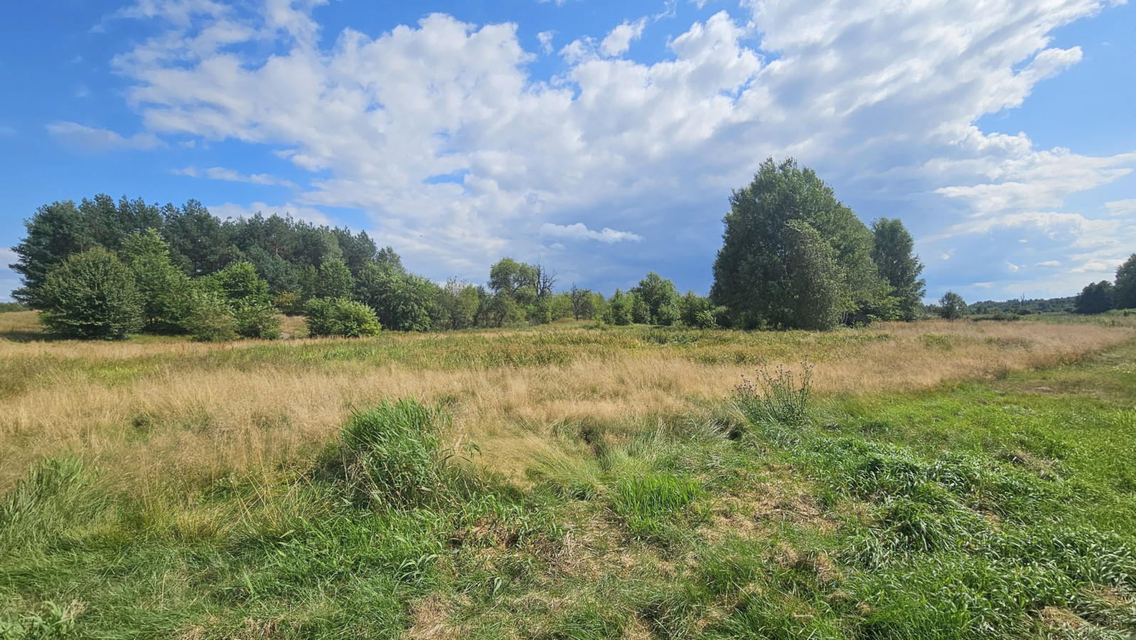 Działka Sprzedaż Luta