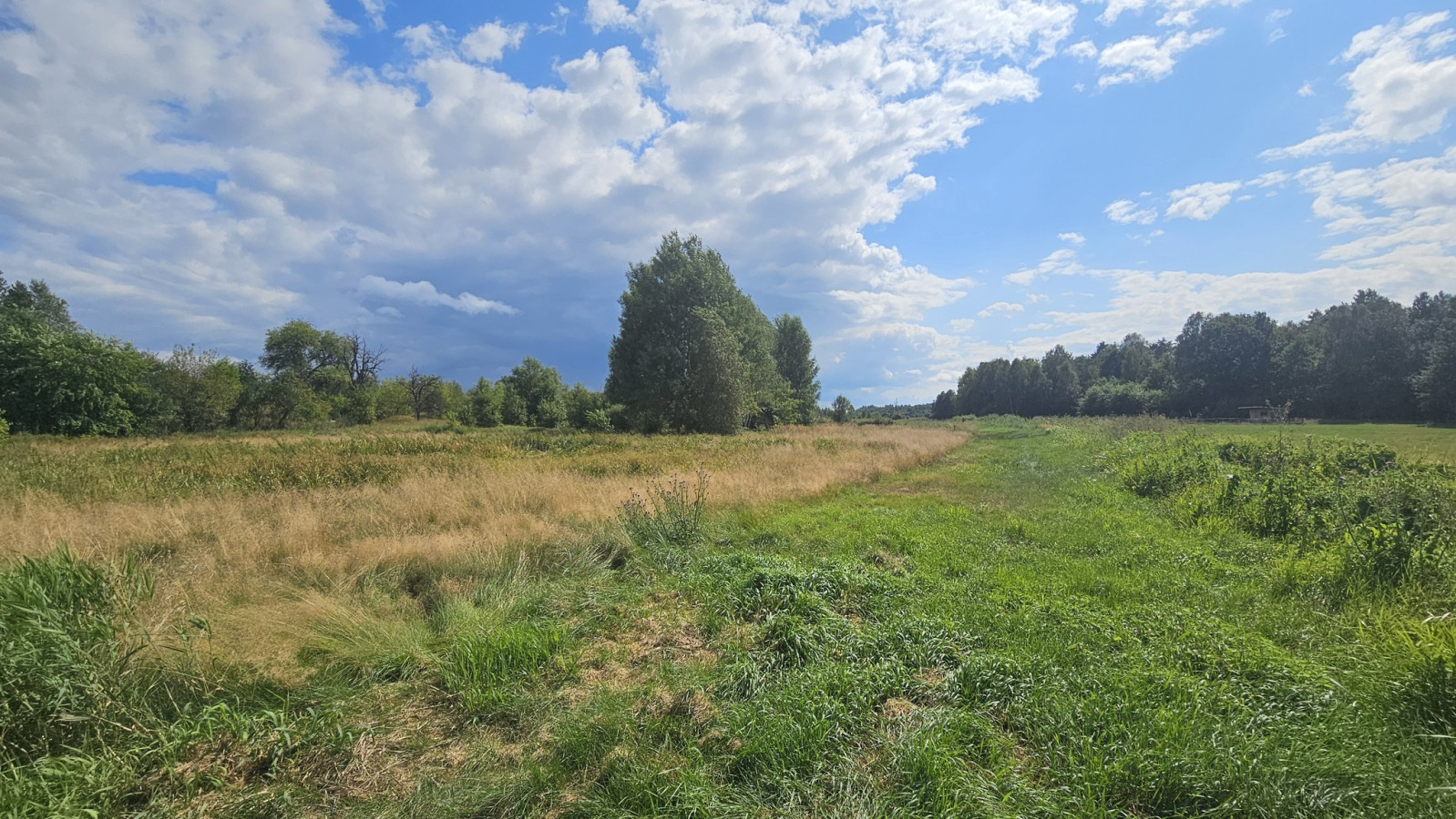Działka Sprzedaż Luta