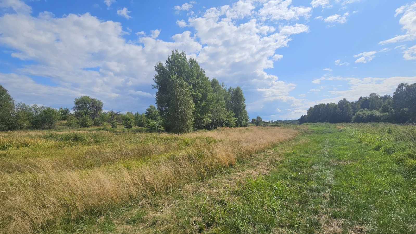 Działka Sprzedaż Luta