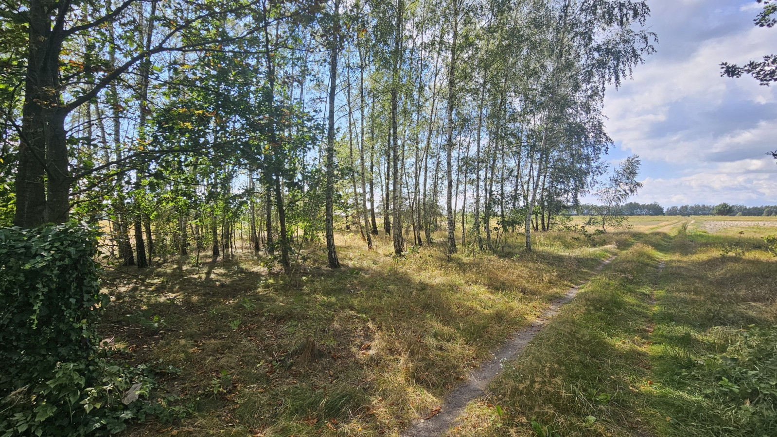 Działka Sprzedaż Wólka Wytycka