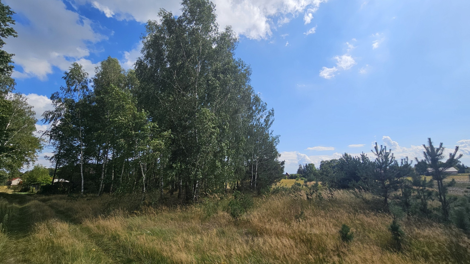 Działka Sprzedaż Wólka Wytycka