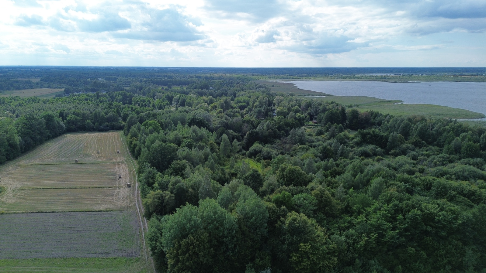 Działka Sprzedaż Wólka Nadrybska