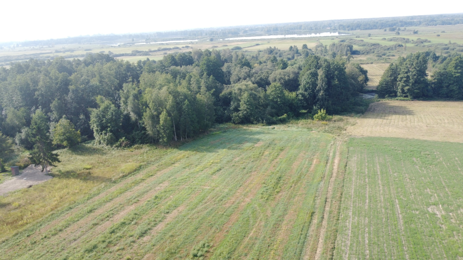 Działka Sprzedaż Żminne