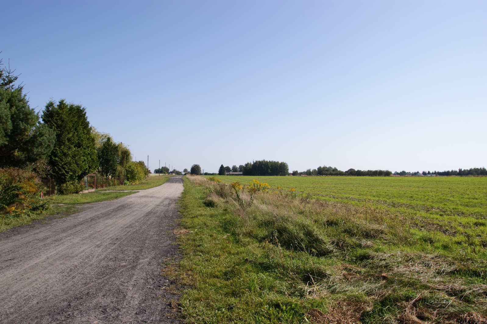 Działka Sprzedaż Krasne 8