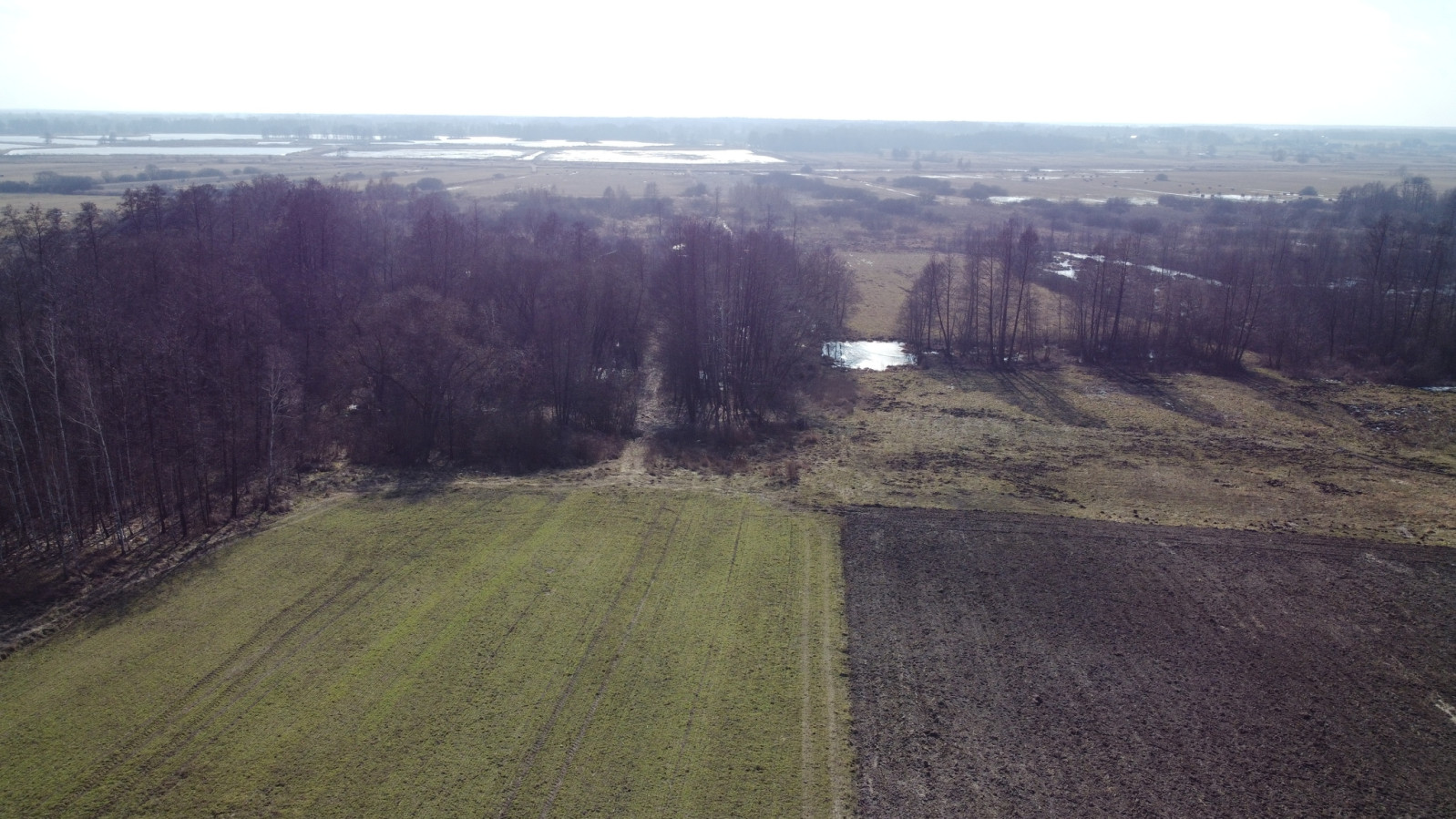 Działka Sprzedaż Żminne