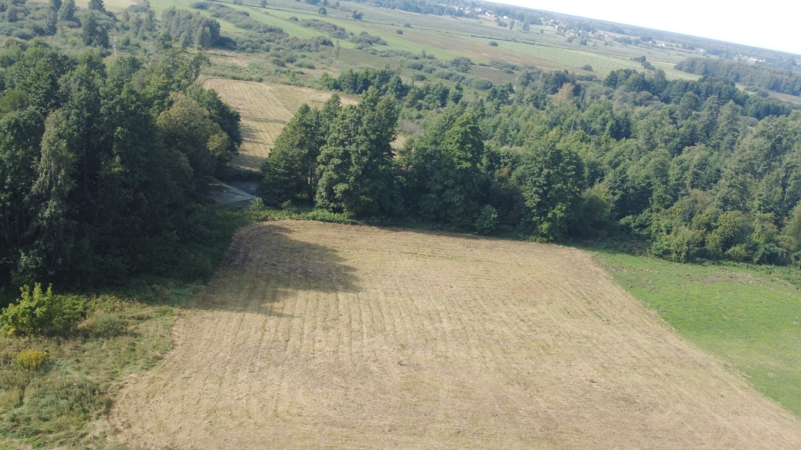 Działka Sprzedaż Żminne 17
