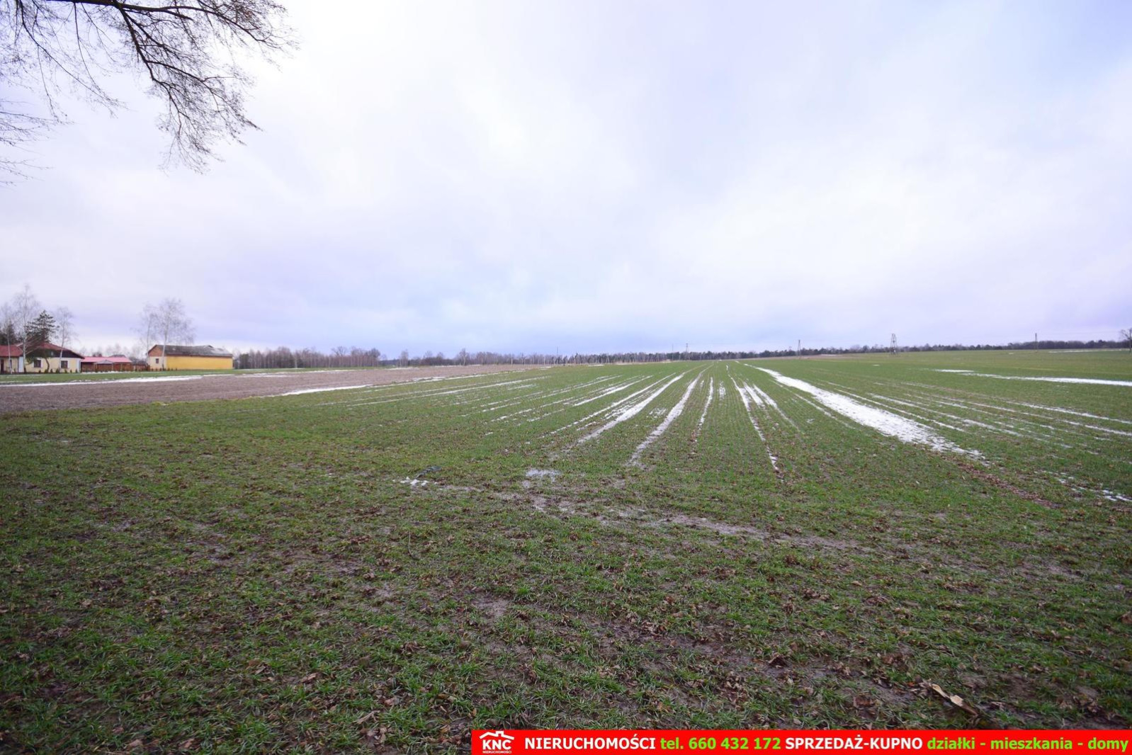 Działka Sprzedaż Wierciszów 4