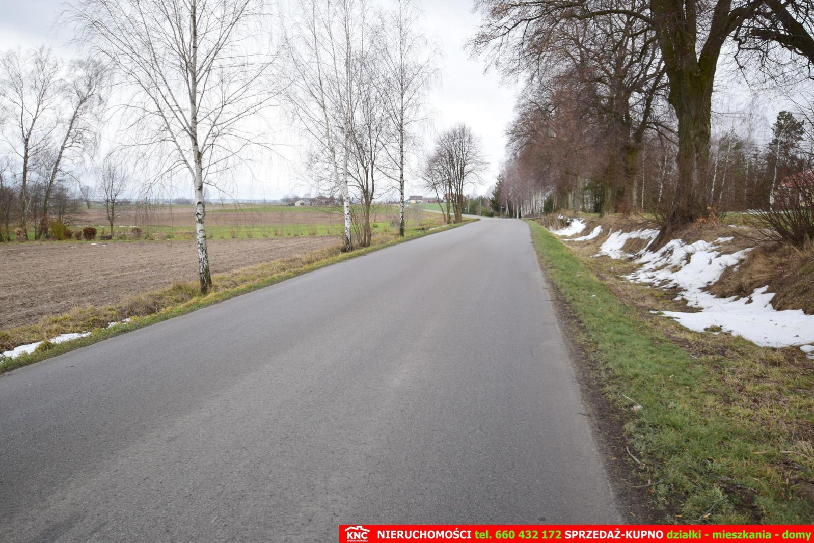 Działka Sprzedaż Wierciszów 5