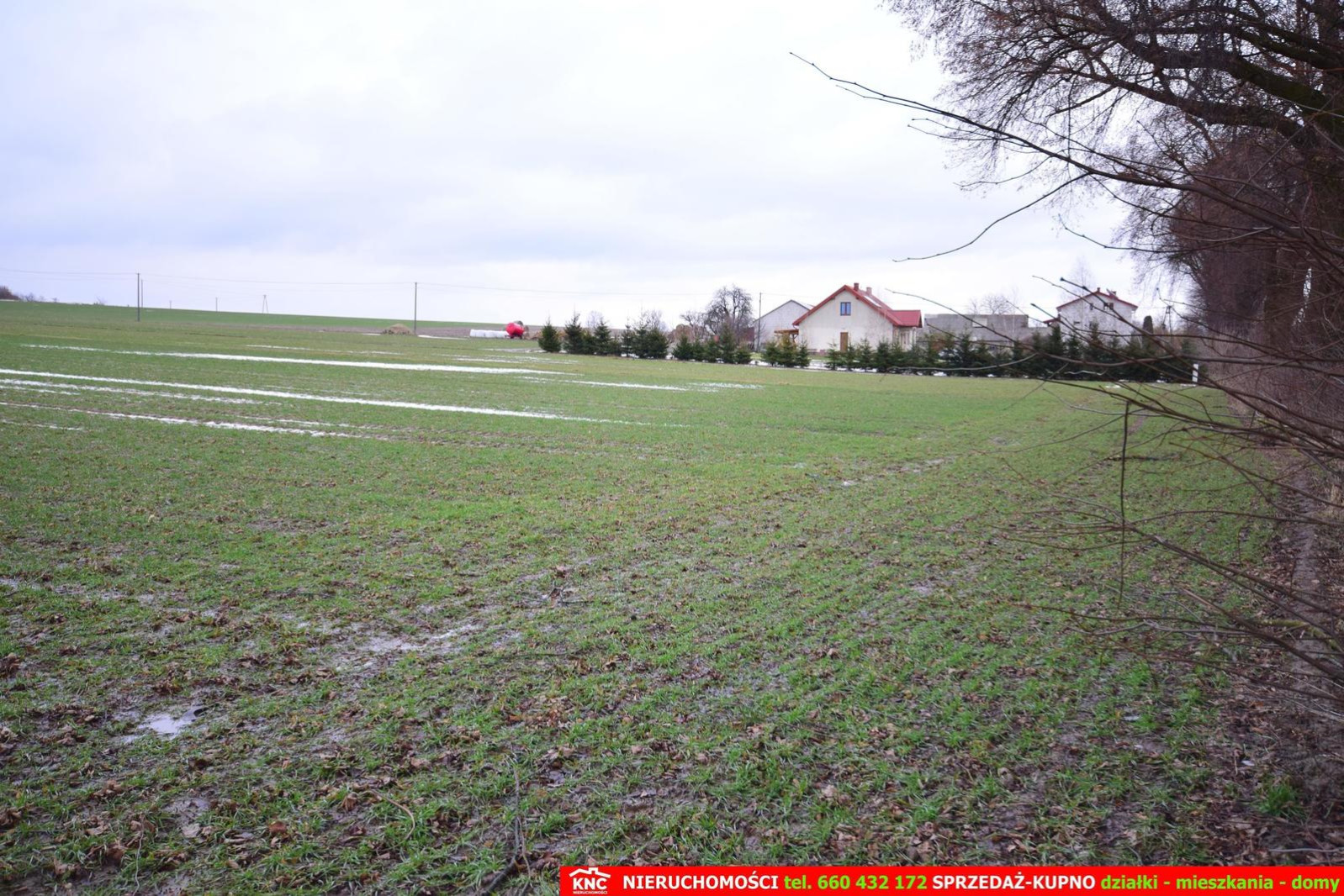 Działka Sprzedaż Wierciszów 6