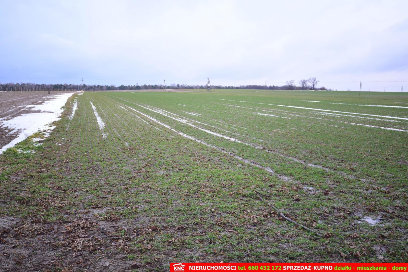 Działka Sprzedaż Wierciszów 7