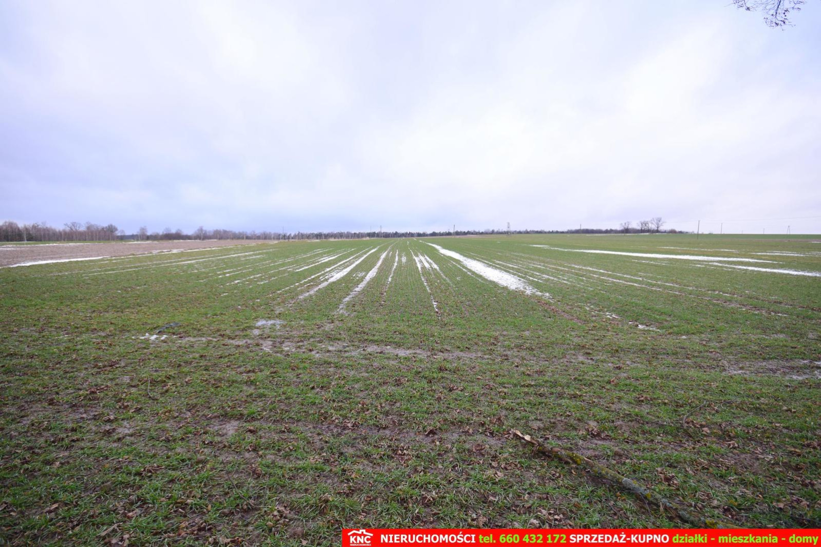 Działka Sprzedaż Wierciszów 8