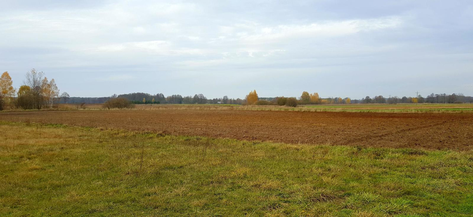 Działka Sprzedaż Samoklęski 3