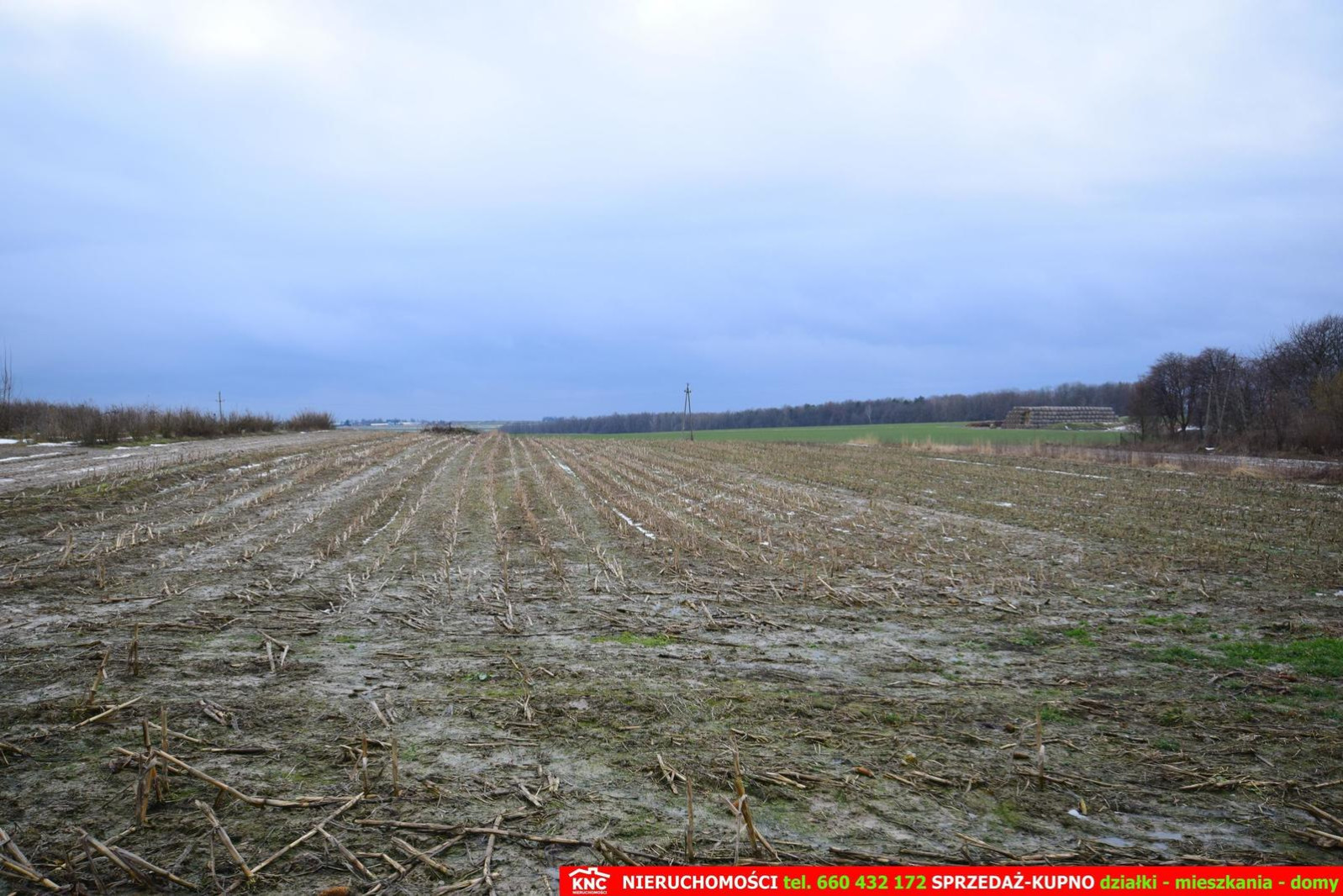 Działka Sprzedaż Wierciszów 4