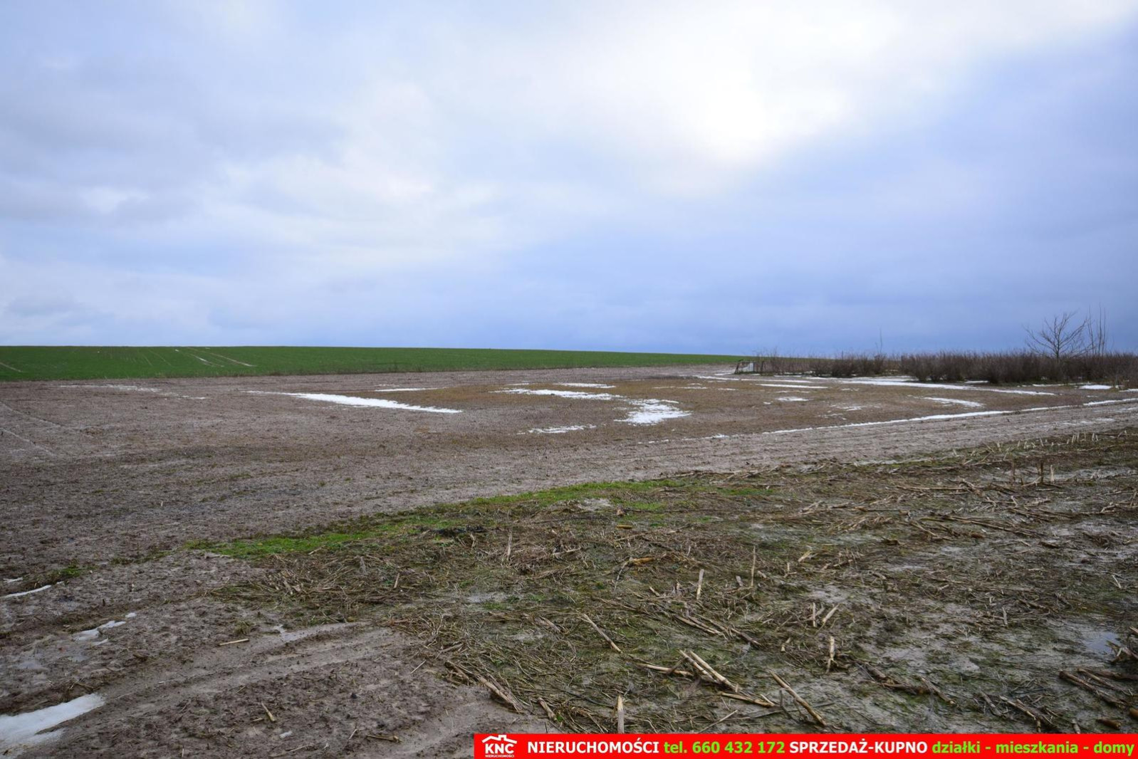 Działka Sprzedaż Wierciszów 6