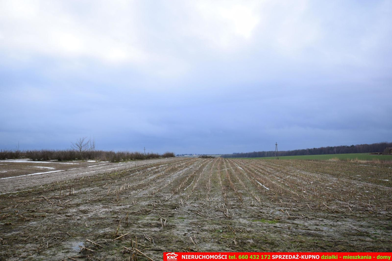 Działka Sprzedaż Wierciszów 7