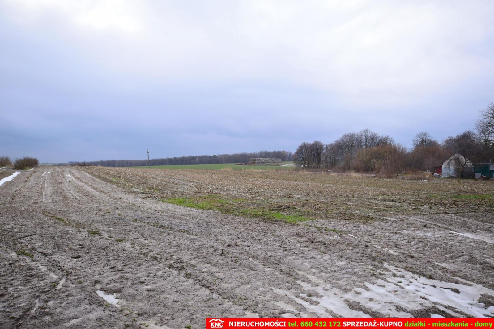 Działka Sprzedaż Wierciszów 8