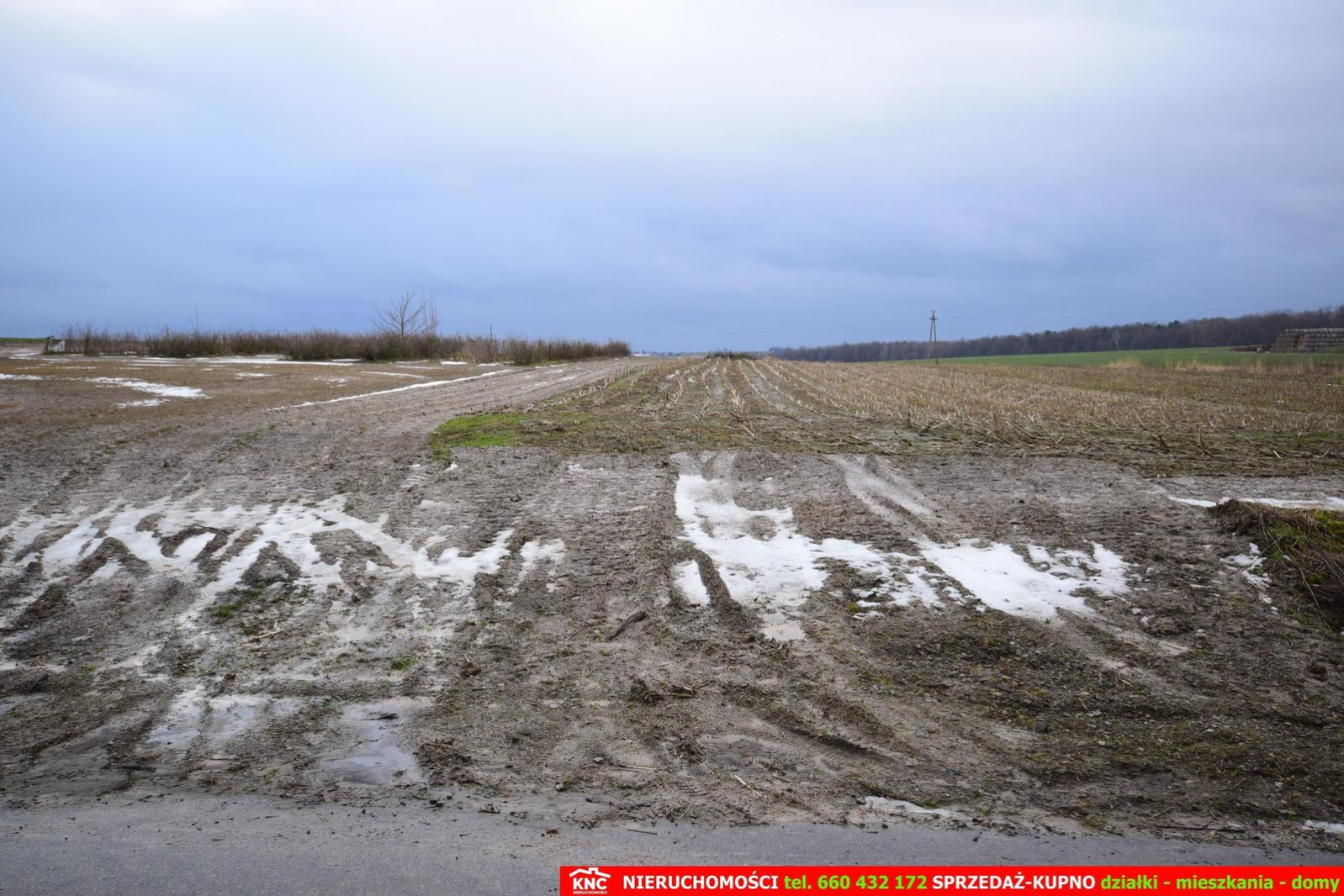 Działka Sprzedaż Wierciszów 9