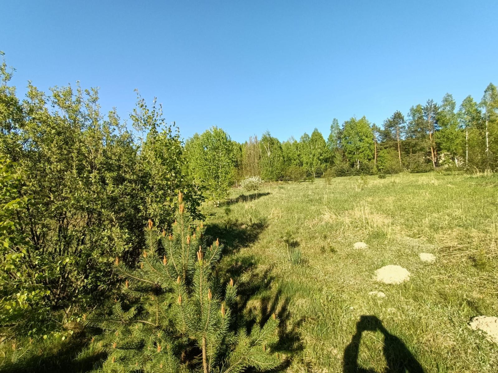 Działka Sprzedaż Gródek 7