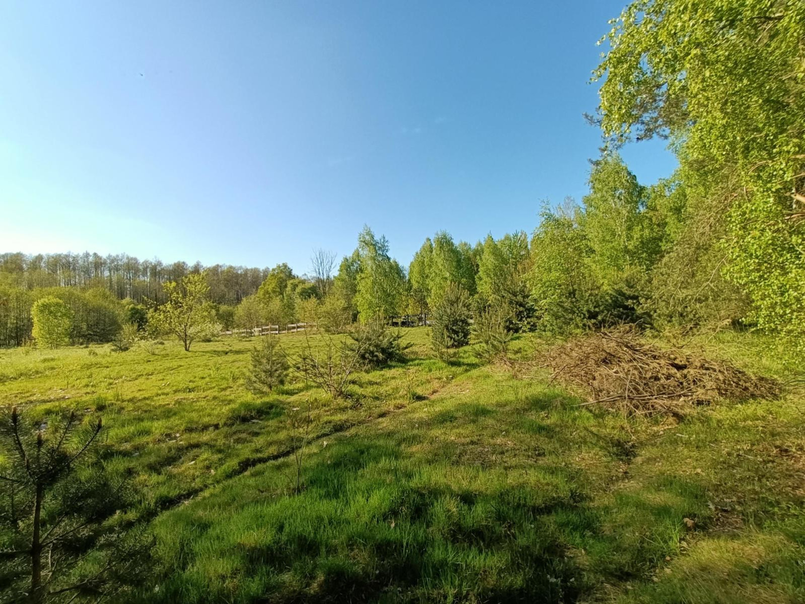 Obiekt Sprzedaż Gródek 15