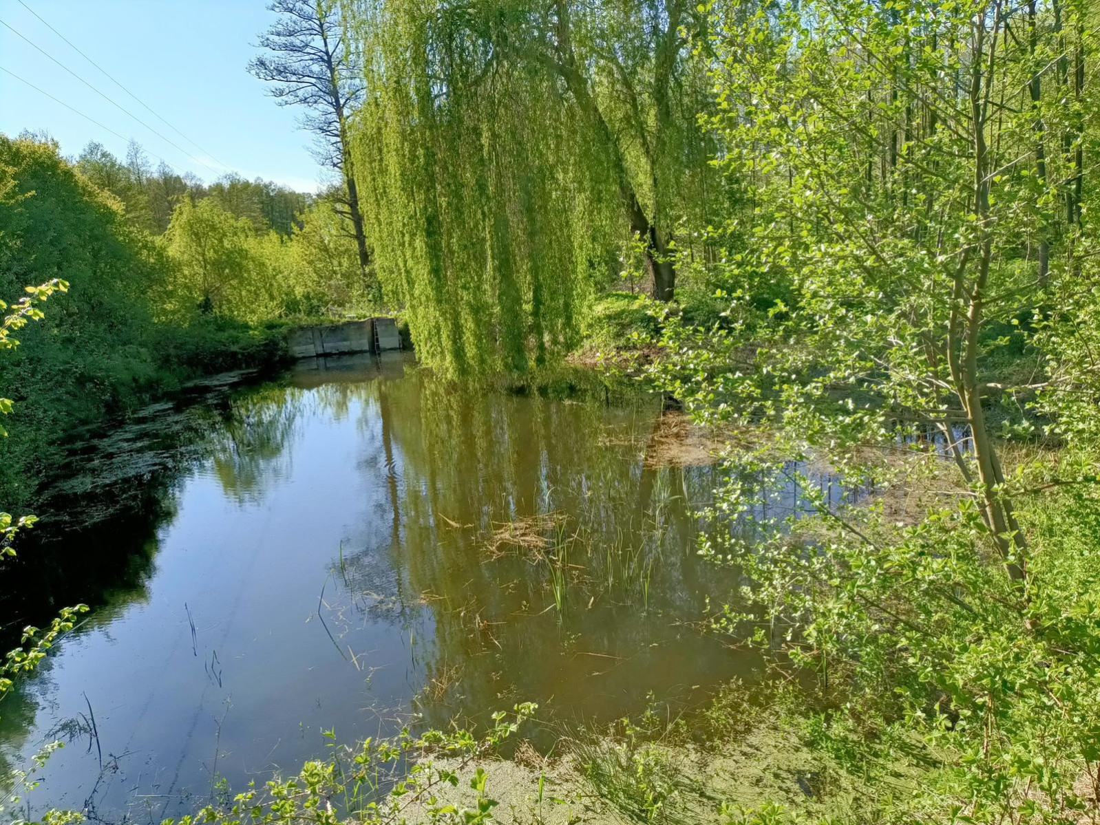 Obiekt Sprzedaż Gródek 22