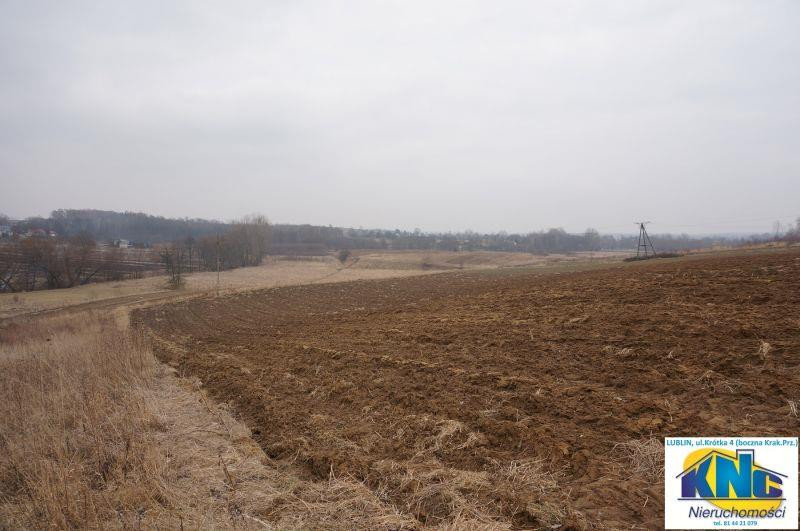 Działka Sprzedaż Pliszczyn