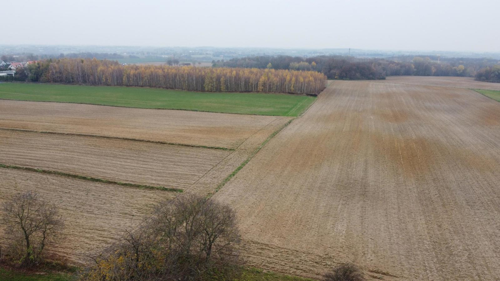 Działka Sprzedaż Smugi