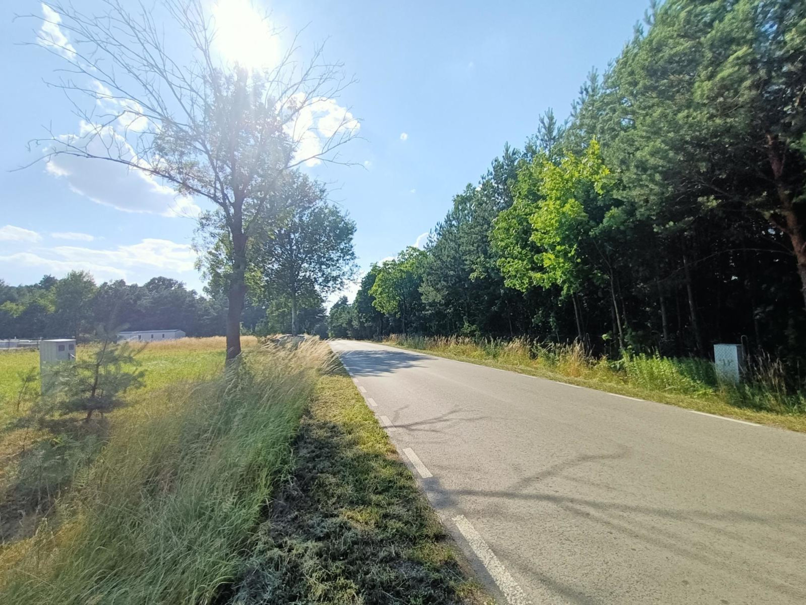Działka Sprzedaż Szlachecki Las 4
