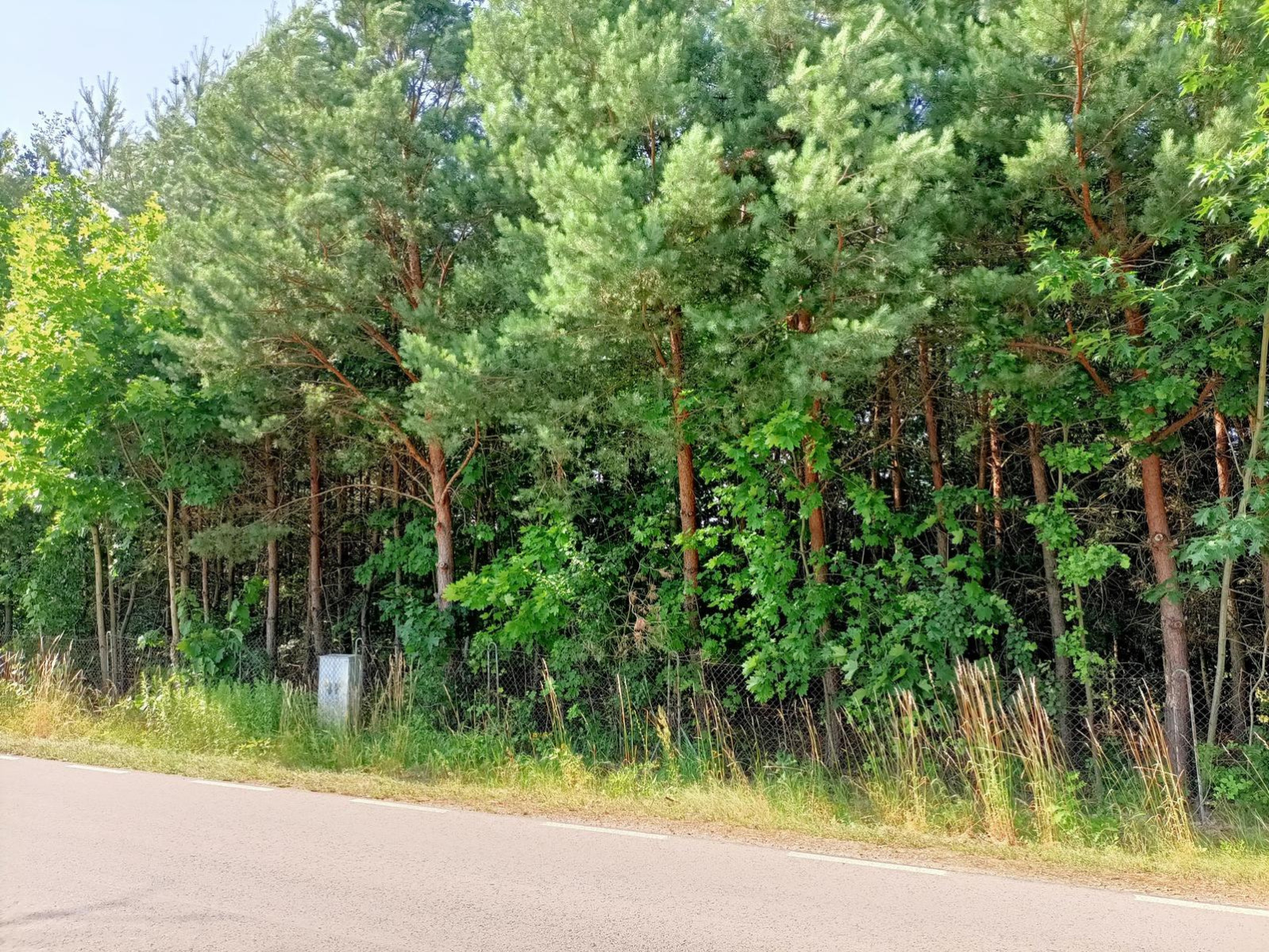 Działka Sprzedaż Szlachecki Las 7