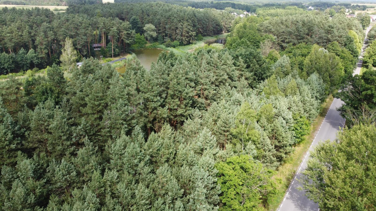 Działka Sprzedaż Szlachecki Las 10