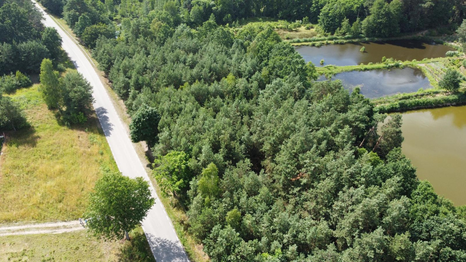 Działka Sprzedaż Szlachecki Las 13