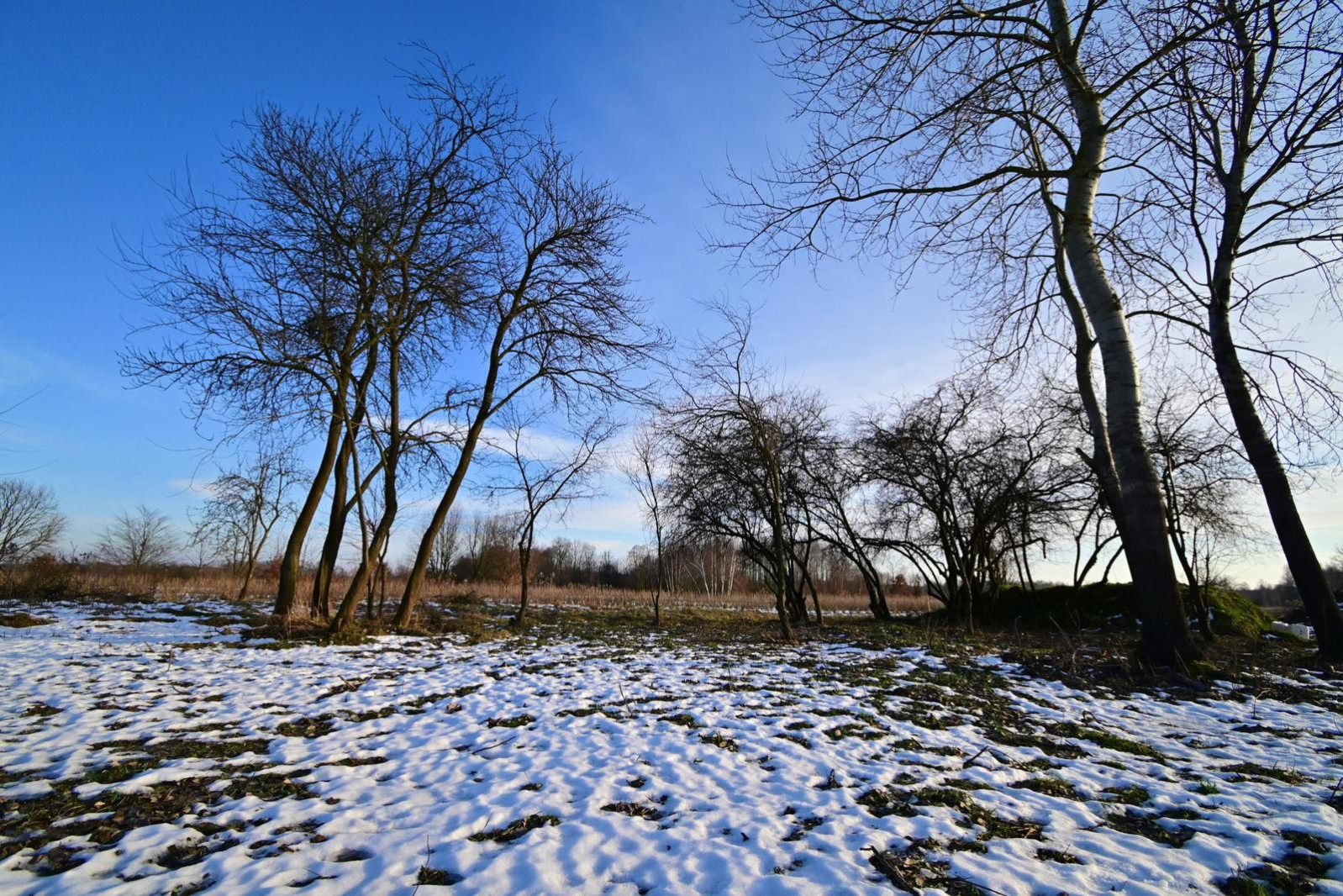 Działka Sprzedaż Stanisławka 4