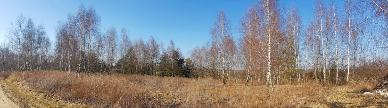 Działka Sprzedaż Karczmiska Pierwsze 4