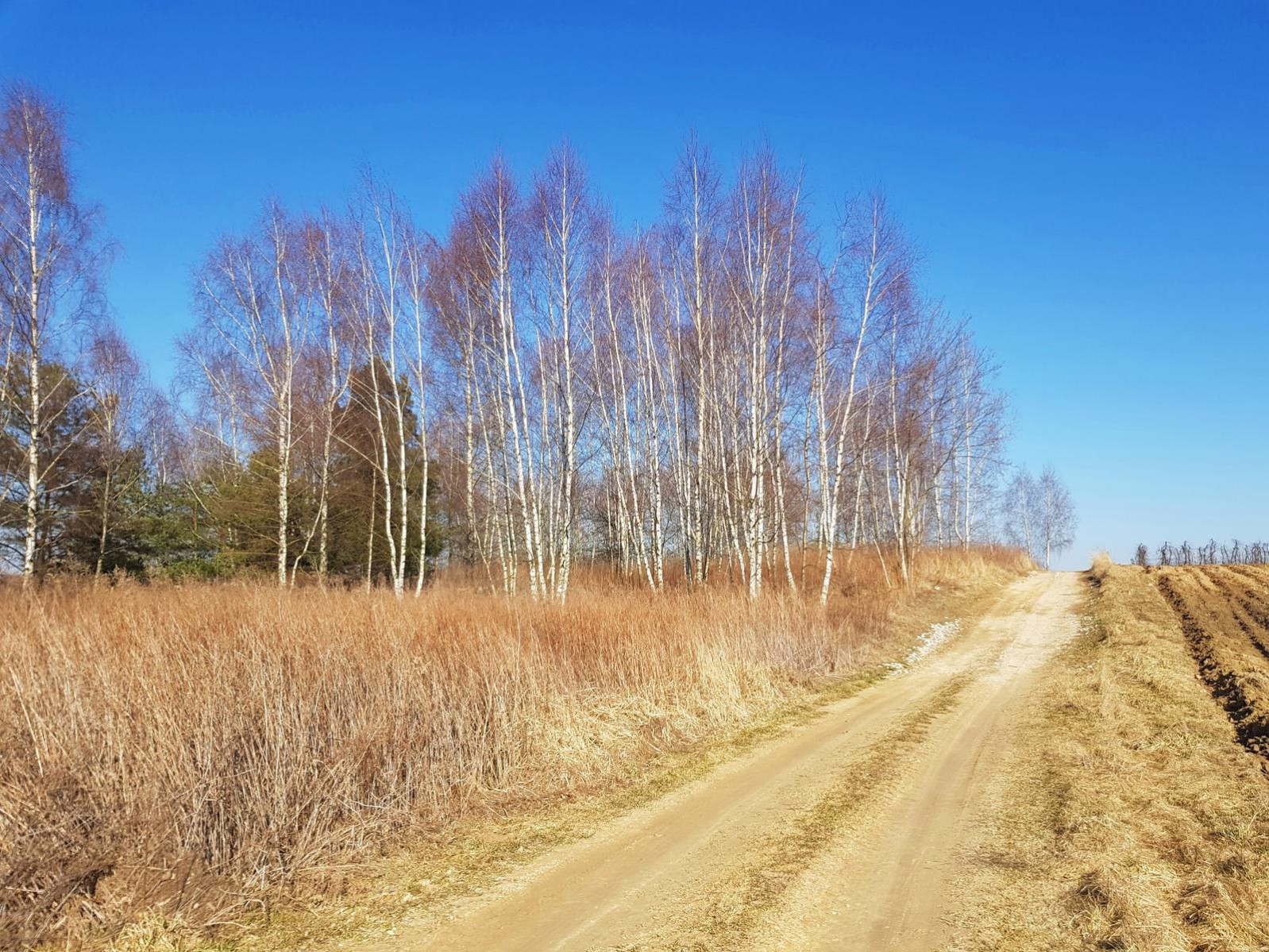 Działka Sprzedaż Karczmiska Pierwsze 5