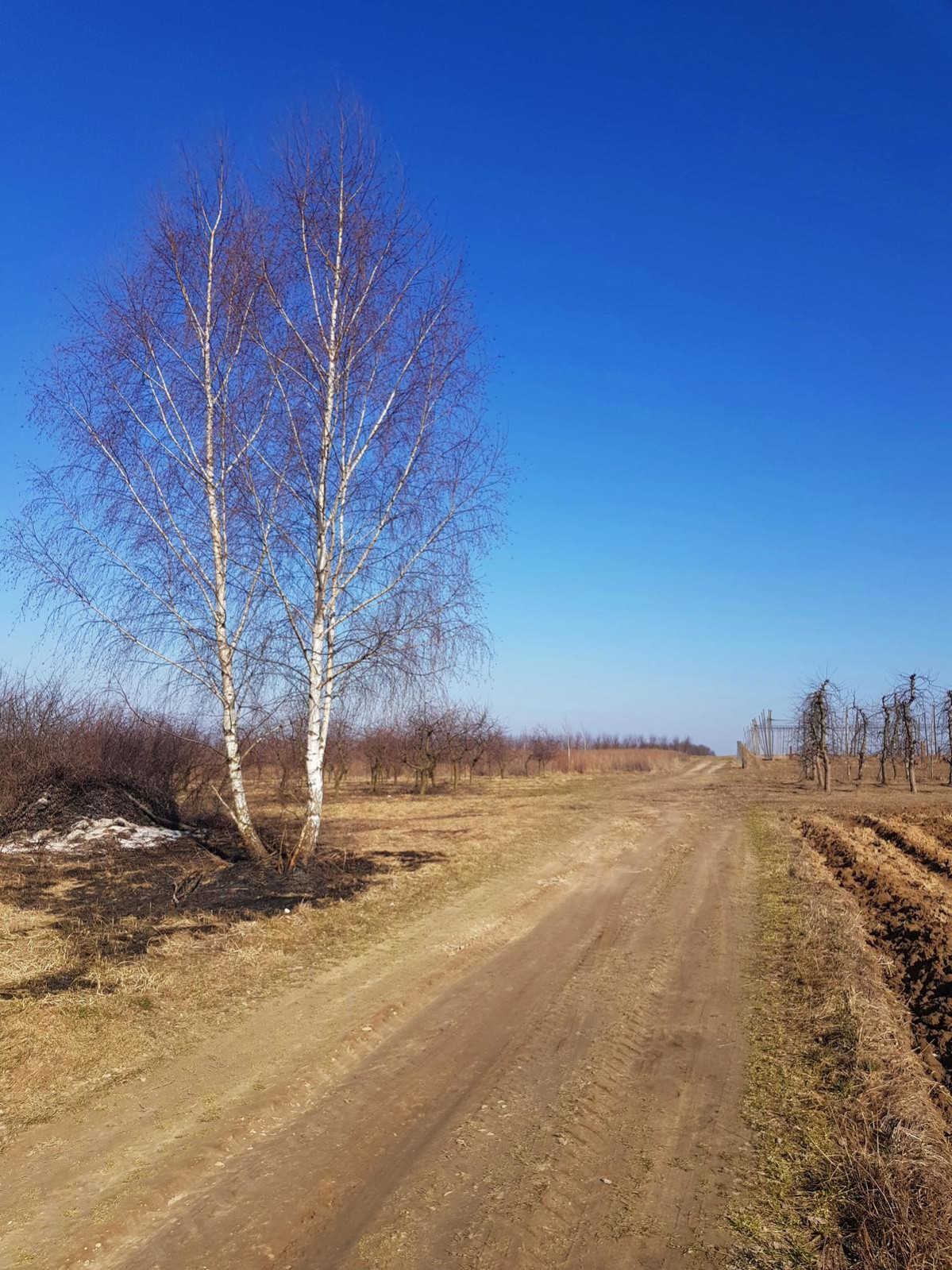 Działka Sprzedaż Karczmiska Pierwsze 6