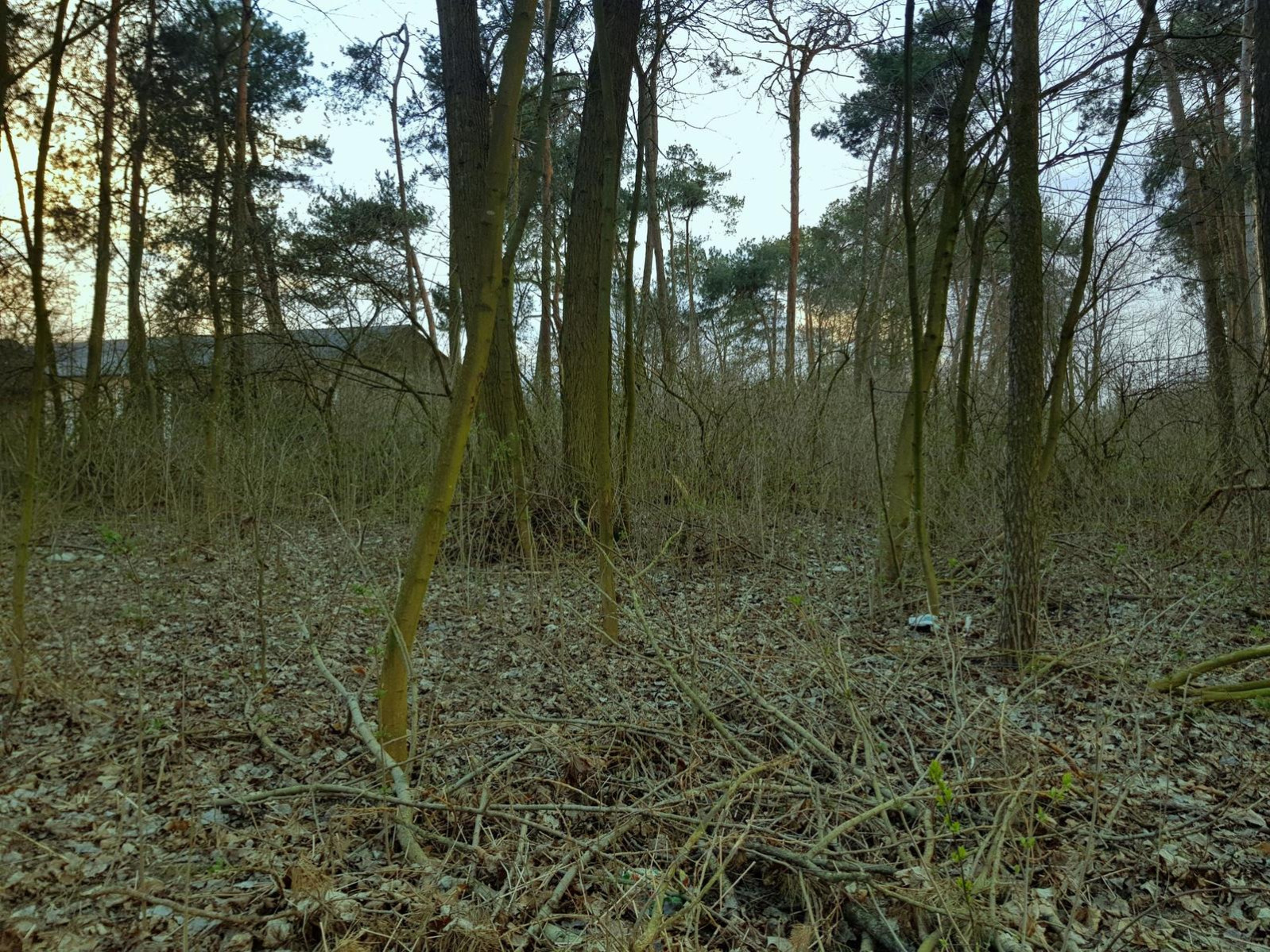Działka Sprzedaż Kocianów 2