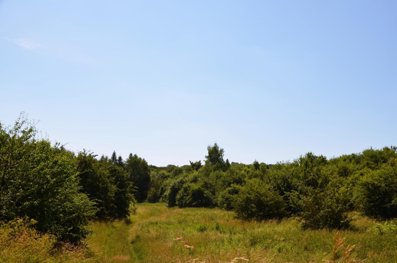 Działka Sprzedaż Snopków 10