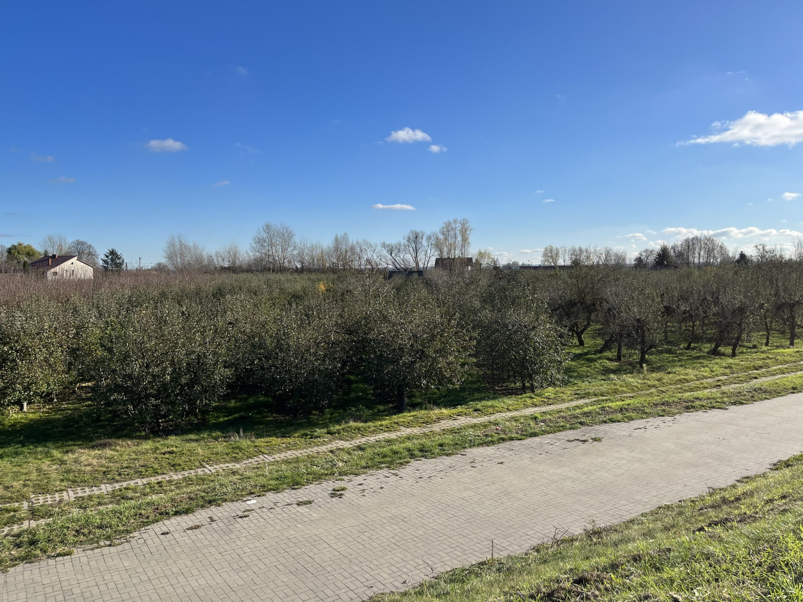 Dom Sprzedaż Zakrzów 14