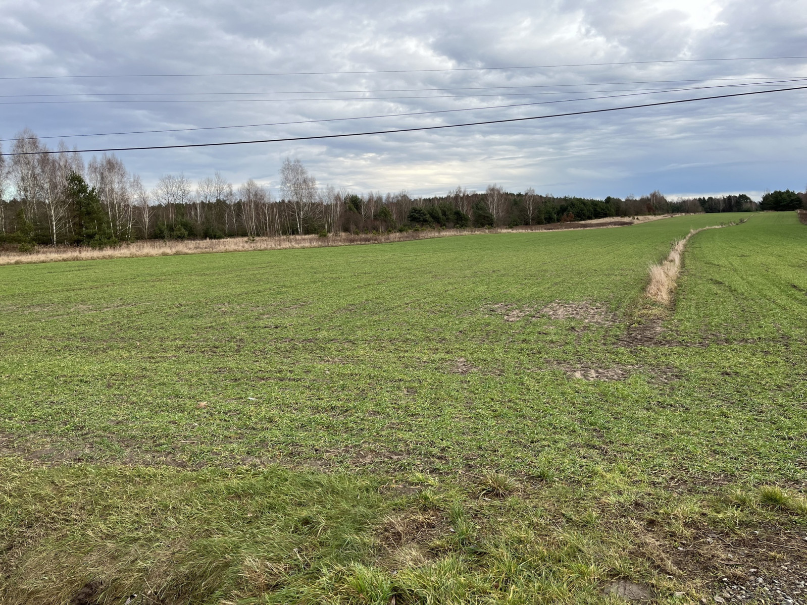 Działka Sprzedaż Kłudzie 5