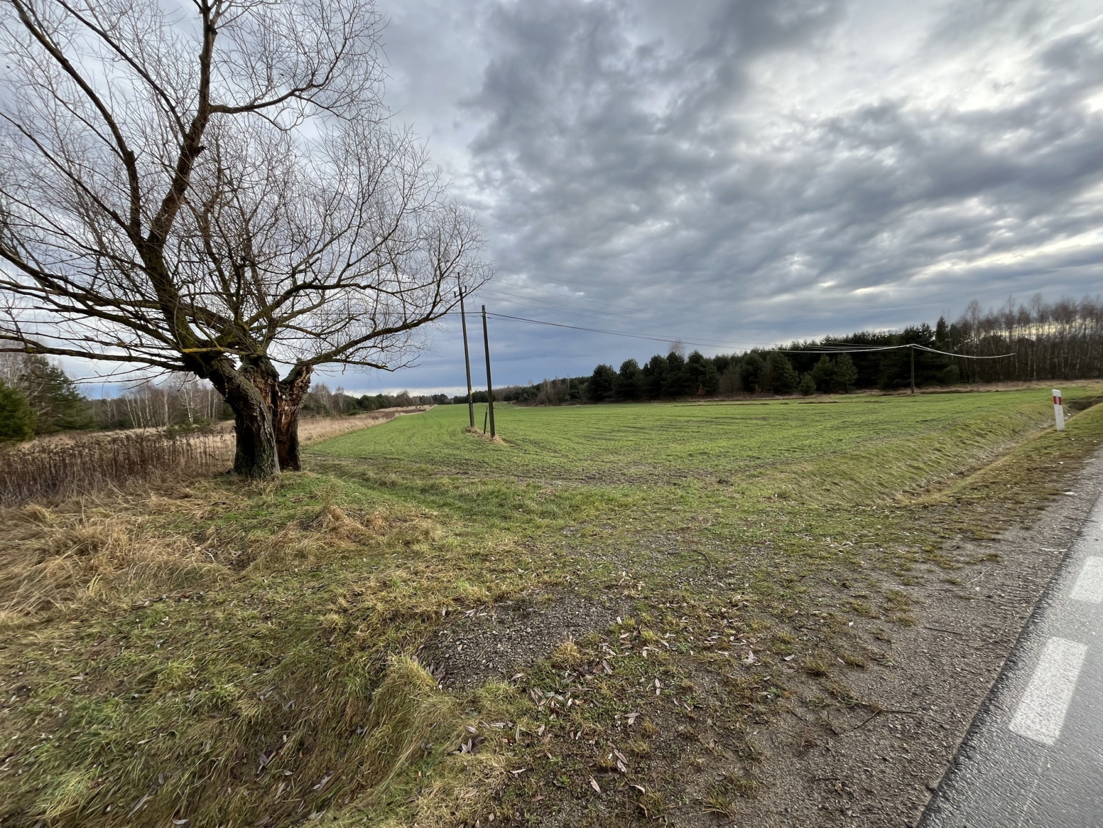 Działka Sprzedaż Kłudzie 4