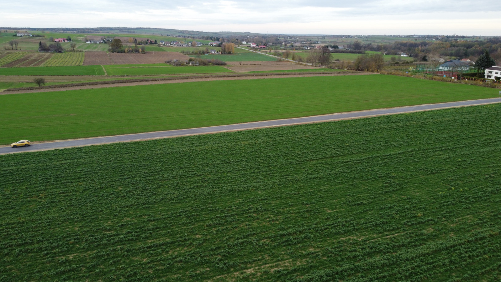 Działka Sprzedaż Zalesie 9