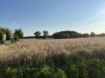 Działka Sprzedaż Helenów